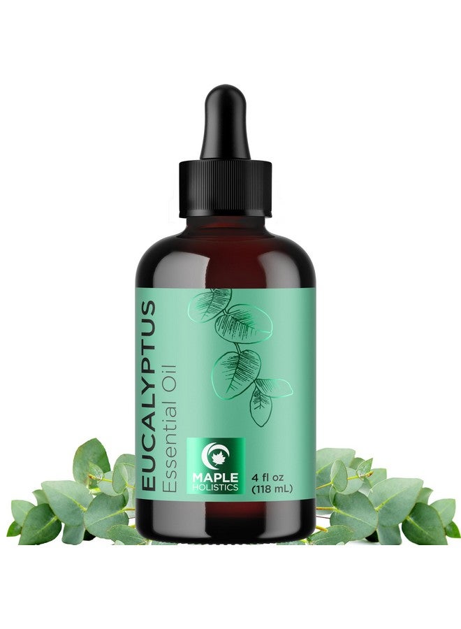Maple Holistics Pure Eucalyptus Essential Oil 4oz - Invigorating Eucalyptus Essential Oil for Diffuser Home Spa Aromatherapy and Natural Bath Oil - Eucalyptus Oil for Diffuser Dry Scalp Care and DIY Skin Care - Image 1