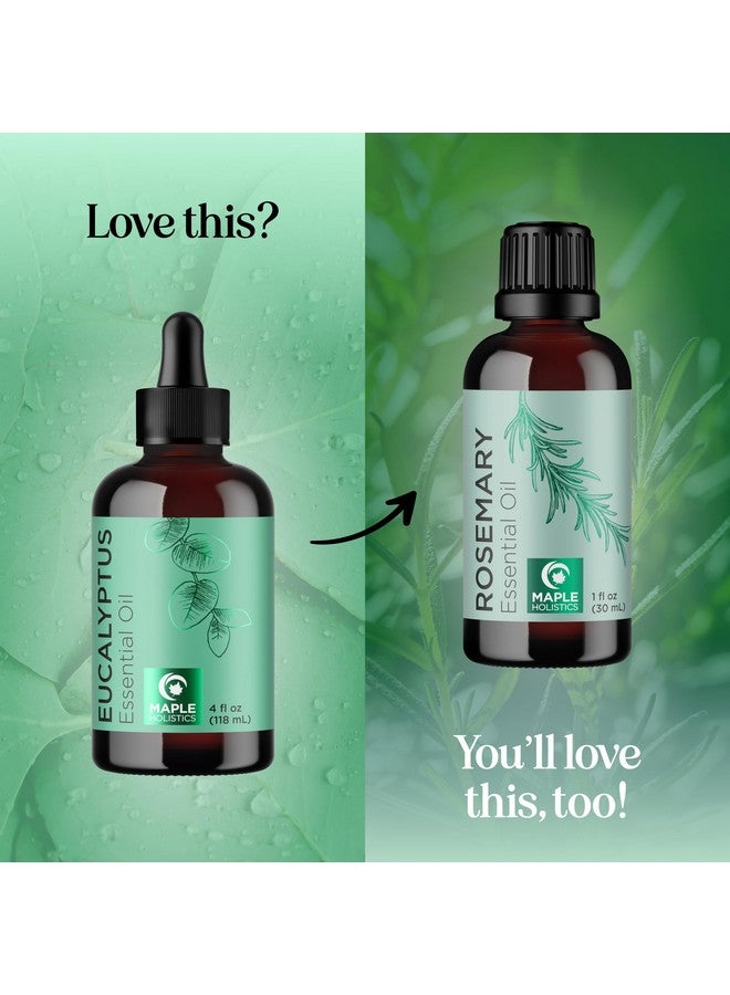Maple Holistics Pure Eucalyptus Essential Oil 4oz - Invigorating Eucalyptus Essential Oil for Diffuser Home Spa Aromatherapy and Natural Bath Oil - Eucalyptus Oil for Diffuser Dry Scalp Care and DIY Skin Care - Image 5