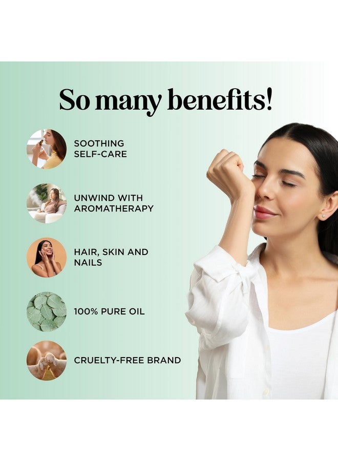 Maple Holistics Pure Eucalyptus Essential Oil 4oz - Invigorating Eucalyptus Essential Oil for Diffuser Home Spa Aromatherapy and Natural Bath Oil - Eucalyptus Oil for Diffuser Dry Scalp Care and DIY Skin Care - Image 3