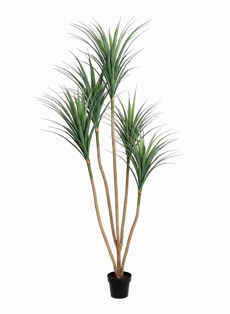AGD Artificial Dracaena Marginata Tree 210cm with Realistic Leaves and Branches for Indoor Spaces, Green Plants with Vibrant Leaves - Image 4
