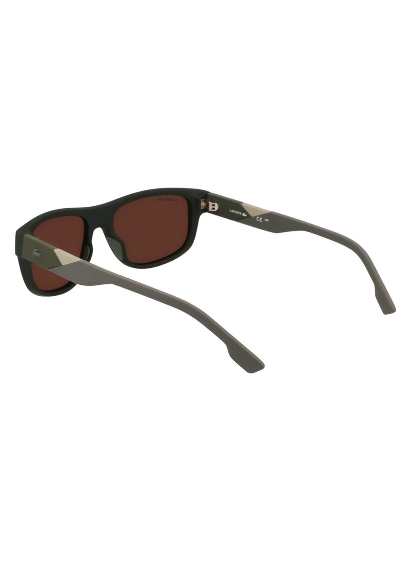 LACOSTE FULL RIM INJ-RUBBER INJECTED LACOSTE SUNS L6042S 5517 (275) MATTE KHAKI/BROWN FLASH GOLD - Image 5