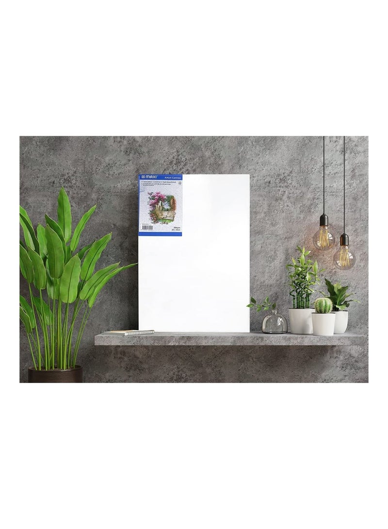 Maxi 12-Piece Stretched Painting Canvas Board 20X30cm Size White - Image 2