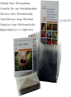 GGOOT Garden in The Bag - Cardoon/Spanish Artichoke - 50 Seeds - Cynara cardunculus  - Image 2
