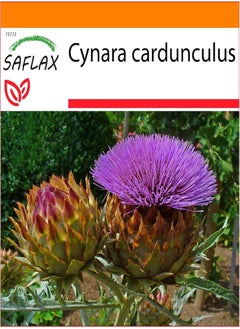 GGOOT Garden in The Bag - Cardoon/Spanish Artichoke - 50 Seeds - Cynara cardunculus  - Image 1