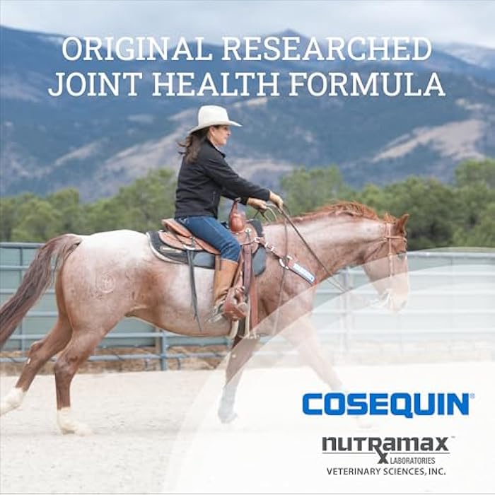 Nutramax Laboratories مكمل صحة المفاصل الأصلي للحيوانات - مع الجلوكوزامين والكوندرويتين، 910 جرام - Image 3