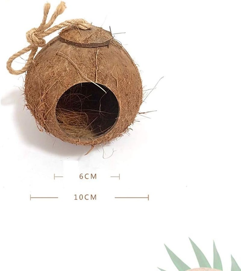 Bird Cage Natural Coconut Shell Bird Outdoor Landscaping Ornament Bird Nest 5 Styles Can Choose Round Bird Cage Pet Products Parakeet cage Parrots Conure Lovebird (D) - Image 2