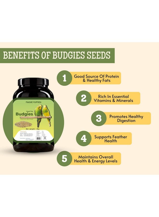 طعام الطيور للبادجي - 1 كجم | بذور طبيعية وصحية من مزيج ممتاز، بذور الكناري، بذور بروسو الصفراء، بذور براون توب، بذور عباد الشمس، بذور اللؤلؤ، بذور الشوفان، بذور النيجر | بذور طعام الطيور اليومية - Image 2