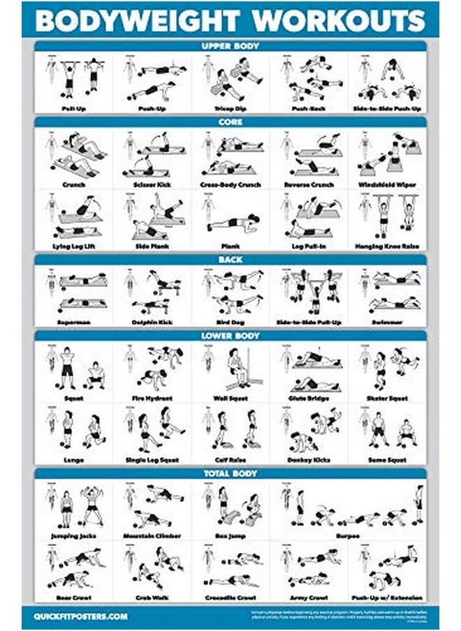 Palace Learning Learning Quickfit Bodyweight Workout Exercise Poster - Body Weight Workout Chart - Calisthenics Routine - (Laminated, 18" X 27")  - Image 1