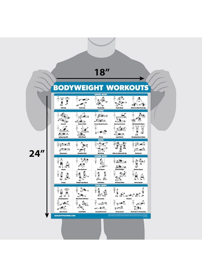 Palace Learning Learning Quickfit Bodyweight Workout Exercise Poster - Body Weight Workout Chart - Calisthenics Routine - (Laminated, 18" X 27")  - Image 2