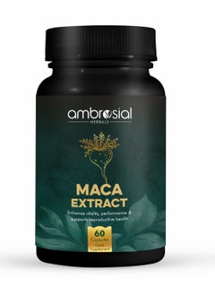 Maca Root Capsules For Men And Women High Strength 500 Mg Maca Powder 60 Veg Capsules - pzsku/ZE9A2600CD954197B700FZ/45/_/1726058485/faa00c04-f187-48c0-b18f-be9ad59a0623