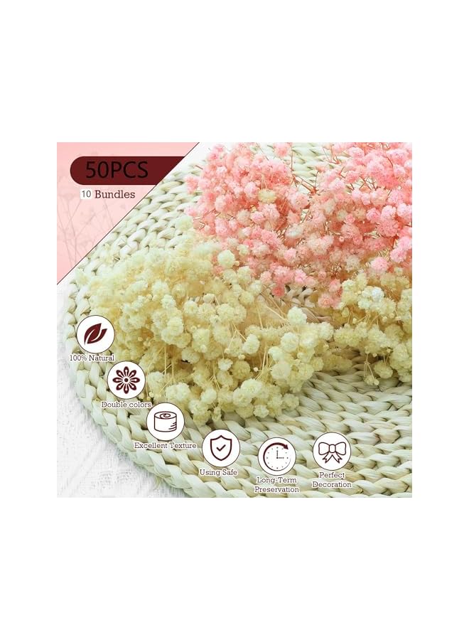 The Bros 10 Pack Mini Dried Babys Breath Flowers, Baby's Breath Bulk Bouquet, Natural Dried Gypsophila Flowers for Resin, Home Vase Decor, Gift Card Making DIY, Party, Wedding Flower Wreaths, Pink & White - Image 3