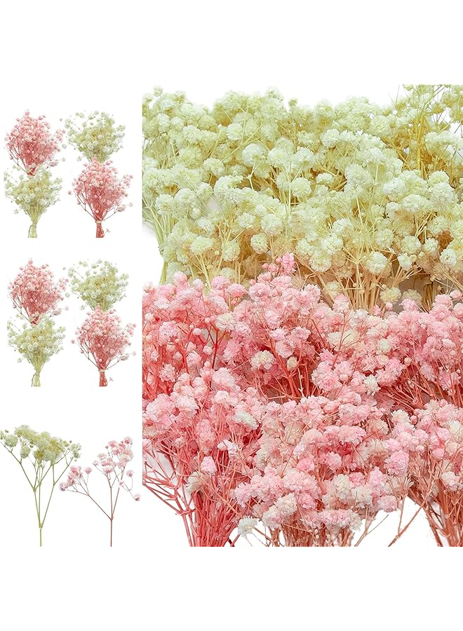 The Bros 10 Pack Mini Dried Babys Breath Flowers, Baby's Breath Bulk Bouquet, Natural Dried Gypsophila Flowers for Resin, Home Vase Decor, Gift Card Making DIY, Party, Wedding Flower Wreaths, Pink & White - Image 1