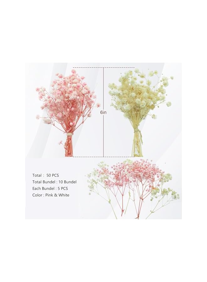 The Bros 10 Pack Mini Dried Babys Breath Flowers, Baby's Breath Bulk Bouquet, Natural Dried Gypsophila Flowers for Resin, Home Vase Decor, Gift Card Making DIY, Party, Wedding Flower Wreaths, Pink & White - Image 2