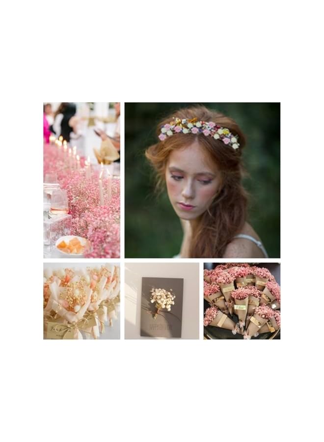 The Bros 10 Pack Mini Dried Babys Breath Flowers, Baby's Breath Bulk Bouquet, Natural Dried Gypsophila Flowers for Resin, Home Vase Decor, Gift Card Making DIY, Party, Wedding Flower Wreaths, Pink & White - Image 4