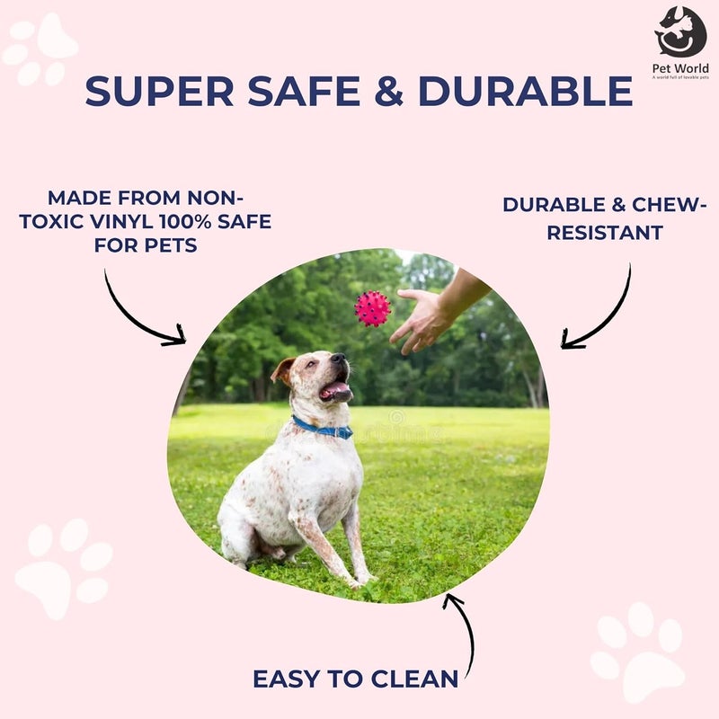 Pet World Vinyl Stud Ball | Made with 100% Natural Rubber | Suitable for Small to Medium Dogs and Puppies| Chewing, Teething, and Training Bouncy Ball Dog Toy| Great for Fetching - Image 4