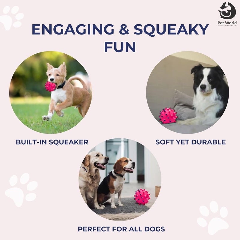 Pet World Vinyl Stud Ball | Made with 100% Natural Rubber | Suitable for Small to Medium Dogs and Puppies| Chewing, Teething, and Training Bouncy Ball Dog Toy| Great for Fetching - Image 3
