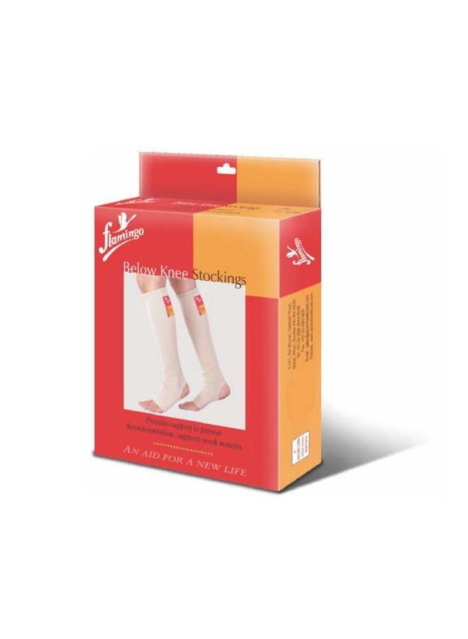 Flamingo Below Knee Stockings - XL - Image 2