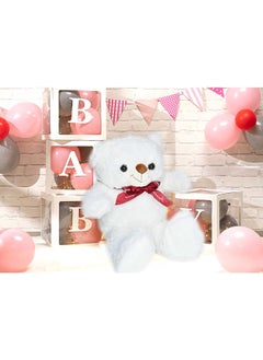 40 Cm White Teddy Bear for Girls Friend and Couples Anniversary Valentine and Birthday Gift - pzsku/ZE9A5CC3B7FB9E1BD4106Z/45/_/1738665500/6fbc04e6-4a8e-430e-b5e6-88aad1876d47