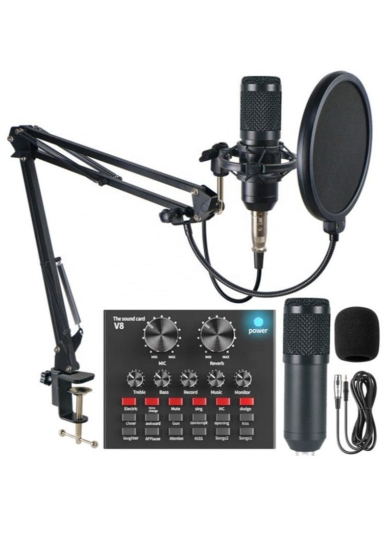 ELTRAZONE Adjustable Recording Condenser Microphone with Kit V8  - Image 2