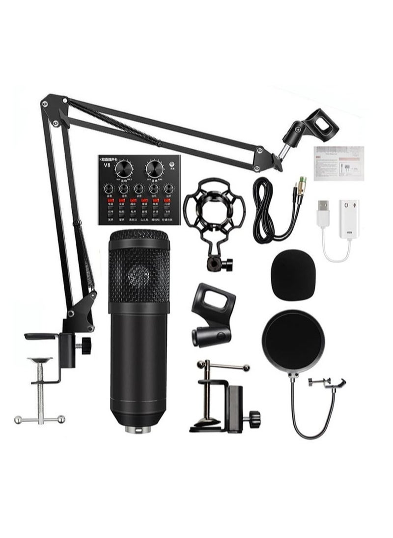 ELTRAZONE Adjustable Recording Condenser Microphone with Kit V8  - Image 3
