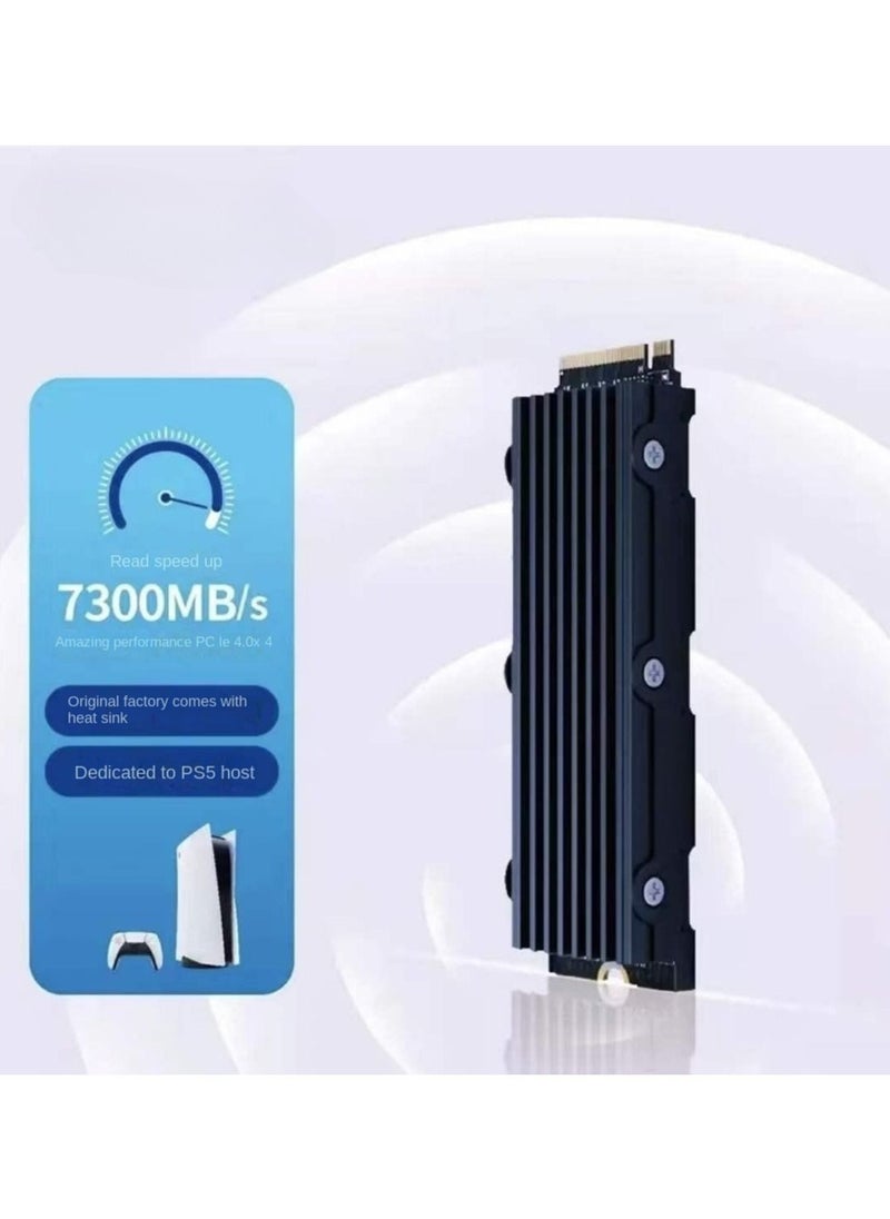 Generic - SSD 1TB Solid State Drive for PS5 Game Console - Image 1
