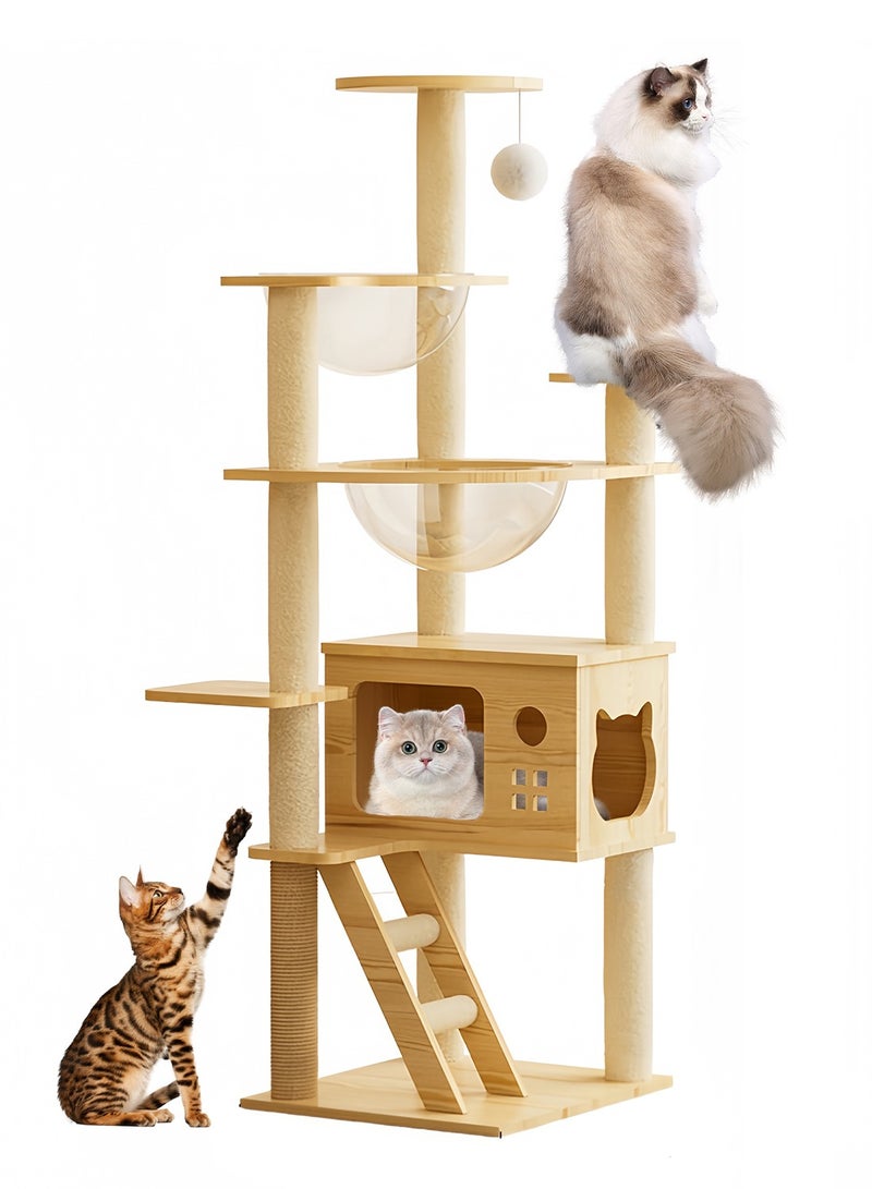Kidle Multi-Level Cat Tree Space Capsule Wood Cat Tower Climbing Frame for Kittens - Image 2