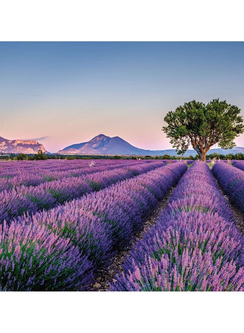 MIRFA Dry Lavender Flower Buds in Drawstring Sachets (Pack of 10) - Image 5