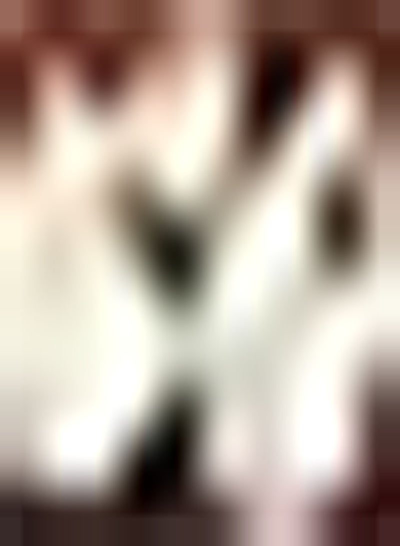 GGOOT 3pcs Garlic Seeds Non GMO Vegetable Crops Grown in Autumn in The Home Garden Become Charming Scenery in Home Art Decoration Art Decoration - Image 2