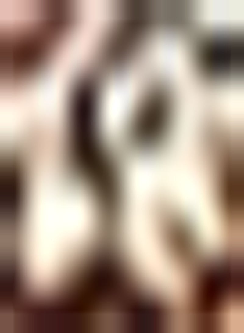 GGOOT 3pcs Garlic Seeds Non GMO Vegetable Crops Grown in Autumn in The Home Garden Become Charming Scenery in Home Art Decoration Art Decoration - Image 1