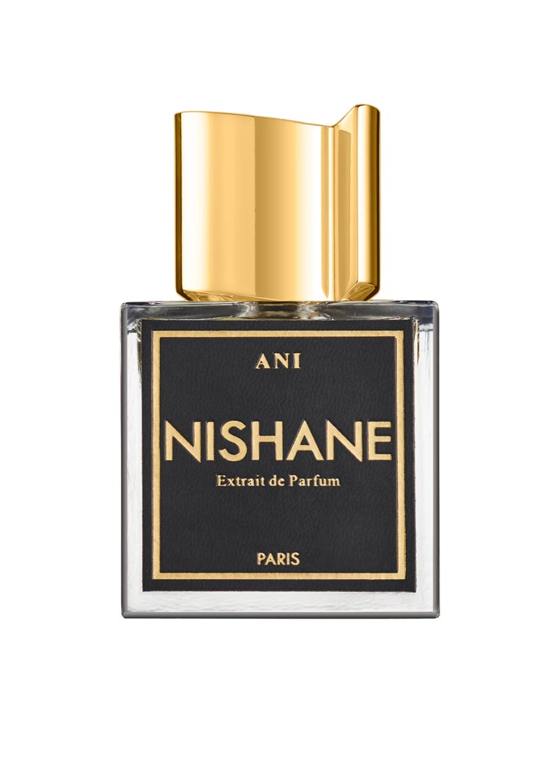 Nishane Nishani Ani Extrait de Parfum Unisex 100ml - Image 2