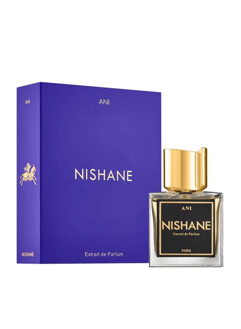 Nishane Nishani Ani Extrait de Parfum Unisex 100ml - Image 1