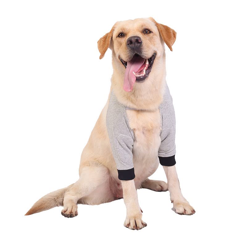 KACHEEG ® Dog Elbow Protector, Front Leg Knee Protector Pad, Adjustable Strap, Lightweight Soft Comfortable, Keep Pet Wounds Clean, Elastic Cuffs Design to Fit Dog's Body | Grey | S - Image 4