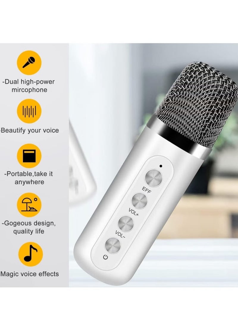 TIGER Karaoke Machine with 2 Wireless Microphones | Portable Bluetooth PA Speaker System | Echo & Vocal Cut Features | Supports TF Card, AUX-in | Perfect for Home Parties, Meetings & Events  - Image 5
