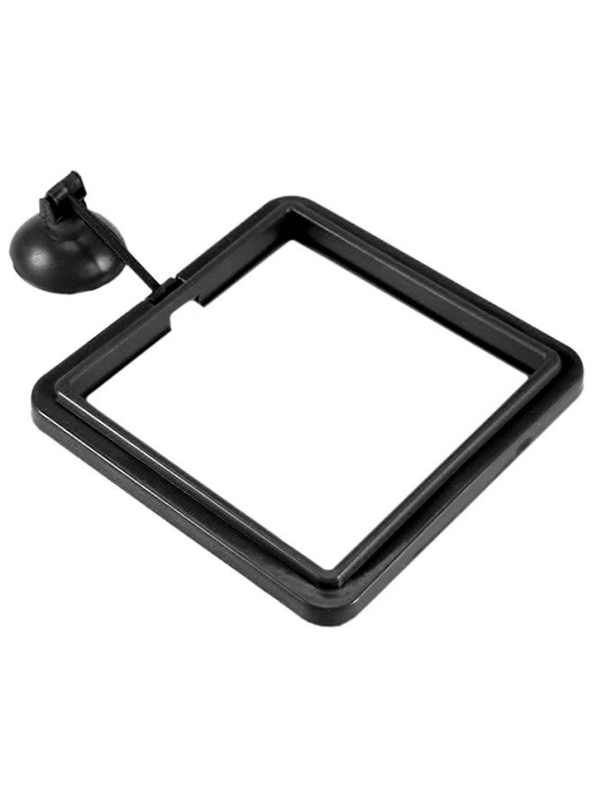 SunGrow SunGrow Fish Food Feeding Ring, Stop Water Turbulence from Washing Food & Floating Plants into Filter, Suitable for Flakes & Floating Fish Pellets, for Goldfish, Guppy, Neon Tetra, Betta, 1 Piece  - Image 1