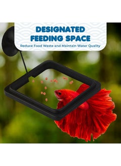 SunGrow SunGrow Fish Food Feeding Ring, Stop Water Turbulence from Washing Food & Floating Plants into Filter, Suitable for Flakes & Floating Fish Pellets, for Goldfish, Guppy, Neon Tetra, Betta, 1 Piece  - Image 4