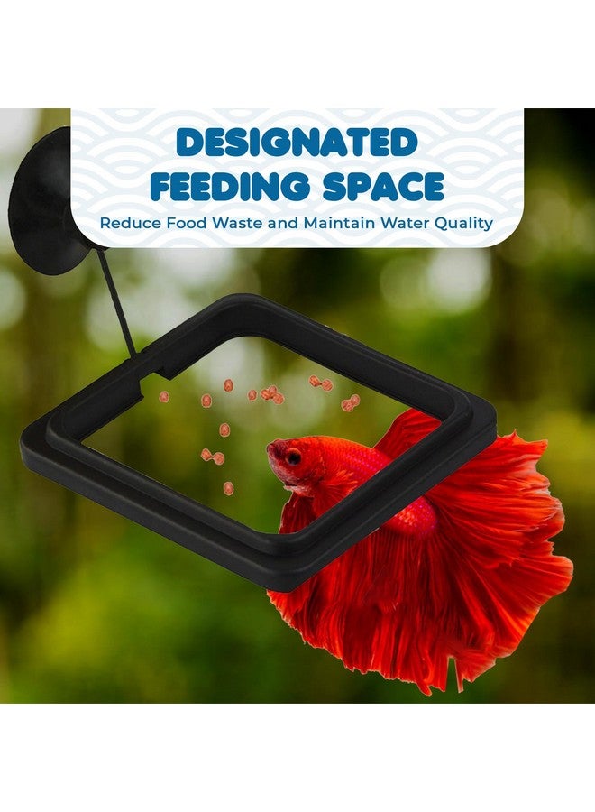 SunGrow SunGrow Fish Food Feeding Ring, Stop Water Turbulence from Washing Food & Floating Plants into Filter, Suitable for Flakes & Floating Fish Pellets, for Goldfish, Guppy, Neon Tetra, Betta, 1 Piece  - Image 4
