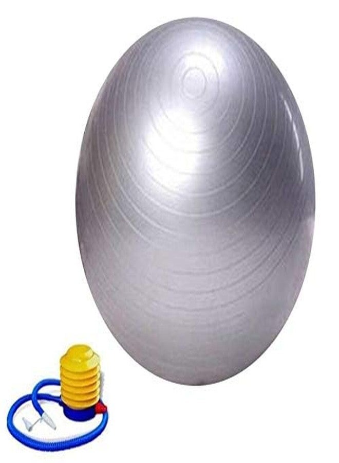 HaRvic Gym Ball for Exercise Anti Burst Exercise Ball for Workout Yoga Ball for Women and Men Swiss Ball for Balance Stability Training Anti-Burst Yoga Exercise Gym Ball with Pump Multicolor (55 CM) - Image 2