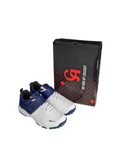 CA Pro 70 Cricket Shoes Navy Blue - pzsku/ZE9AC743956914369C0DCZ/45/_/1740651942/4b9b942d-3069-4da9-bdcb-377c7c4de810