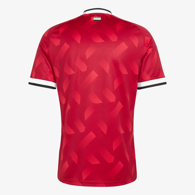 Adidas  United Arab Emirates 26 Away Jersey for Men | Best Price UAE