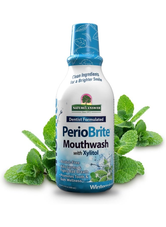 Nature's Answer PerioBrite Alcohol-Free Mouthwash - Image 1