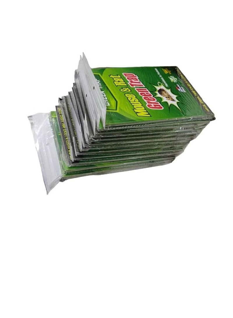 Non-toxic Powerful Effect Sticky Glue Adhesive Rat Trap Board (Pack of 12) - Image 5