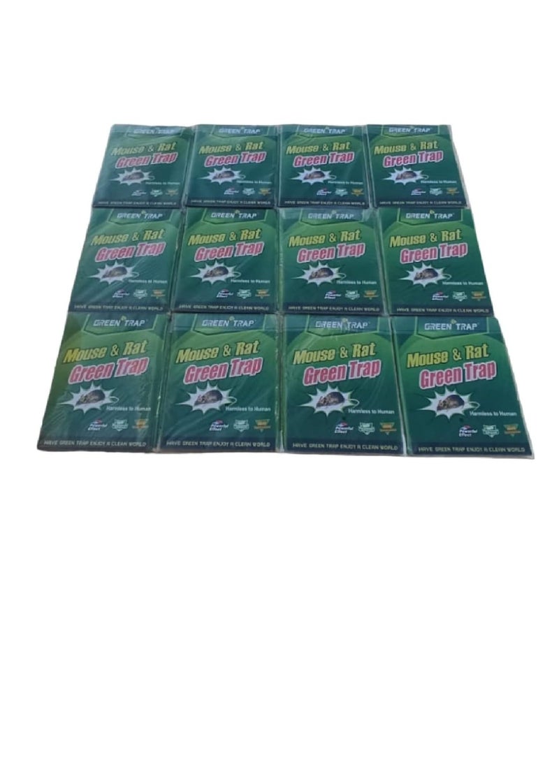 Non-toxic Powerful Effect Sticky Glue Adhesive Rat Trap Board (Pack of 12) - Image 4