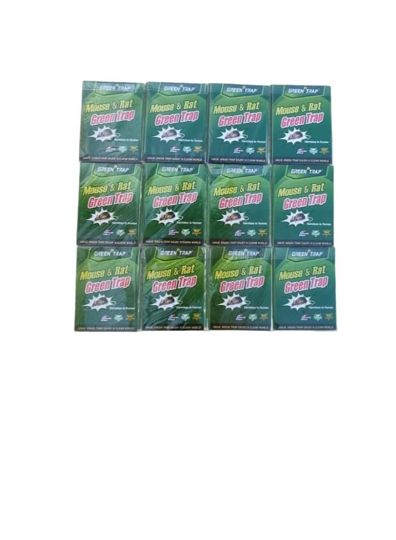 Non-toxic Powerful Effect Sticky Glue Adhesive Rat Trap Board (Pack of 12) - Image 2