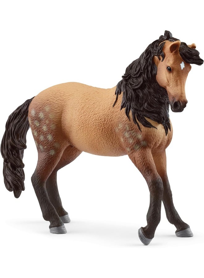 Schleich شلايخ 14894 فرس أندلسية، من 5 سنوات نادي الخيول - تمثال، 4 × 13 × 11 سم - Image 1