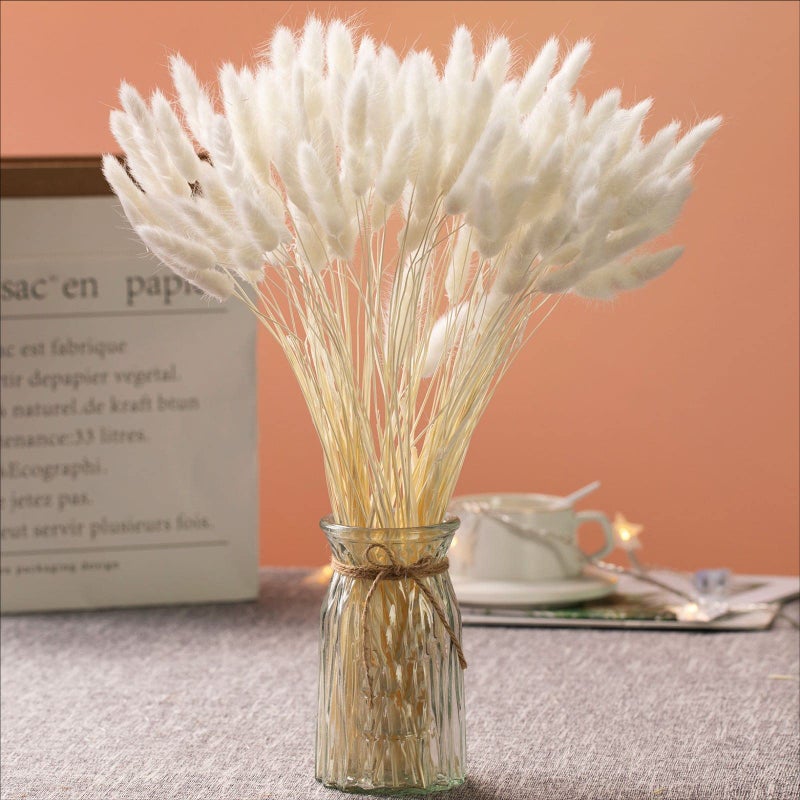Natural Dried Bunny Tail Grass  110120 Stems Rabbit Tail Grass Lagurus Ovatus for Boho Decor Dried Pampas Grass Flower Arrangements Wedding Home Kitchen Office Decor White