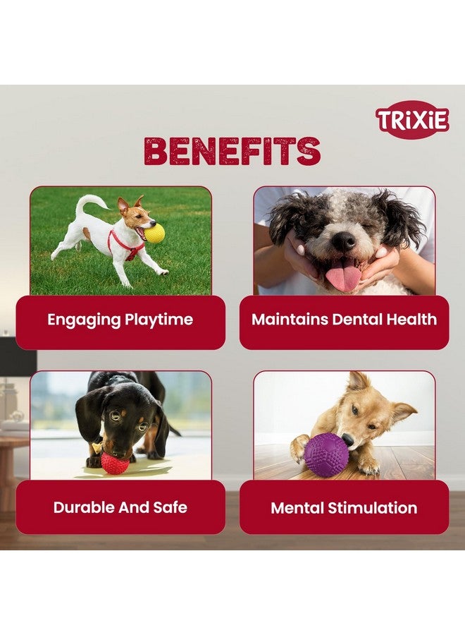 تريكسي لعبة كرة رياضية للكلاب والقطط | كرة رياضية من المطاط الطبيعي بجودة ارتداد جذابة لجذب انتباه حيوانك الأليف | تعزز اللعب الصحي والتمارين الرياضية - 7 سم (عبوة من 3 قطع) - Image 4
