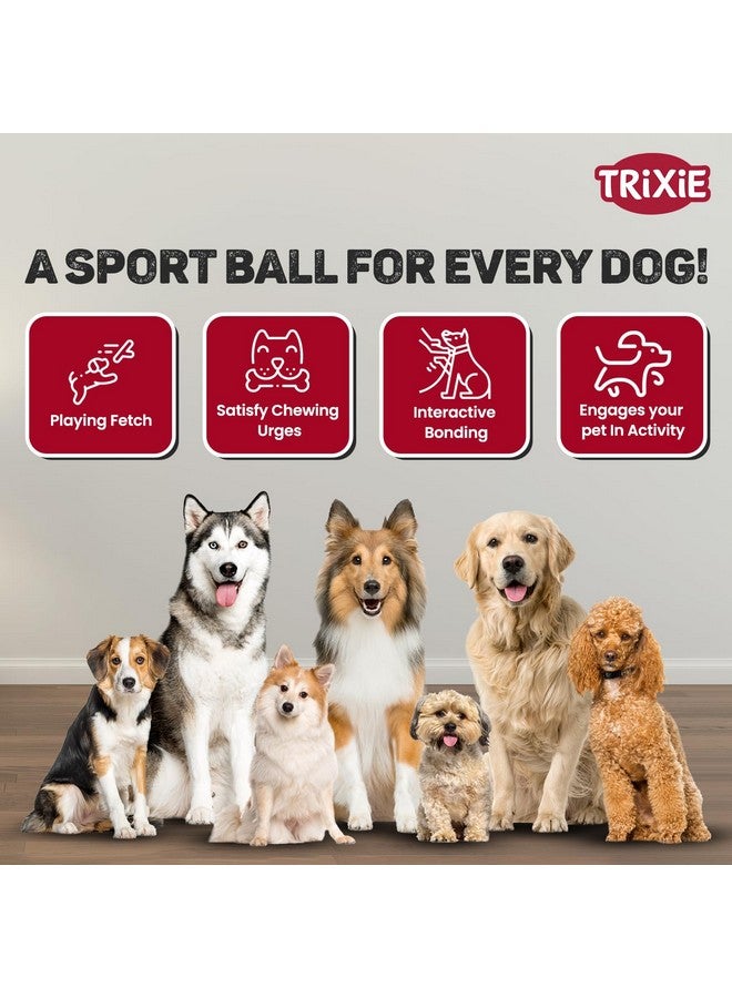 تريكسي لعبة كرة رياضية للكلاب والقطط | كرة رياضية من المطاط الطبيعي بجودة ارتداد جذابة لجذب انتباه حيوانك الأليف | تعزز اللعب الصحي والتمارين الرياضية - 7 سم (عبوة من 3 قطع) - Image 5