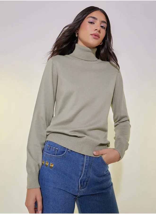 ستايلي Solid Turtle Neck Long Sleeves Sweater