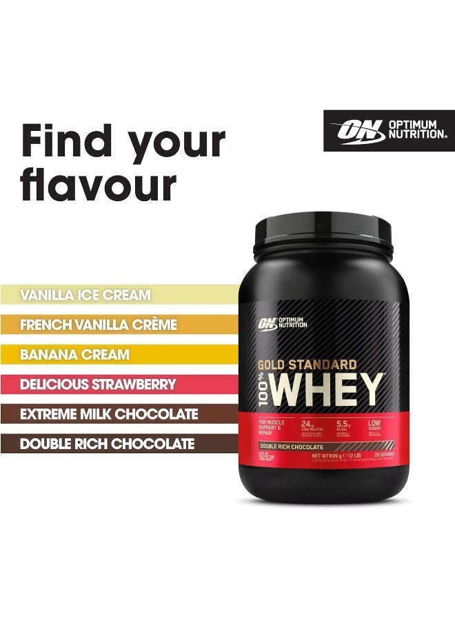 Optimum Nutrition Gold Standard 100% Whey Protein Powder Primary Source Isolate, 24 Grams of Protein for Muscle Support and Recovery - Double Rich Chocolate, 2 Lbs, 29 Servings (907 Grams) - Image 5