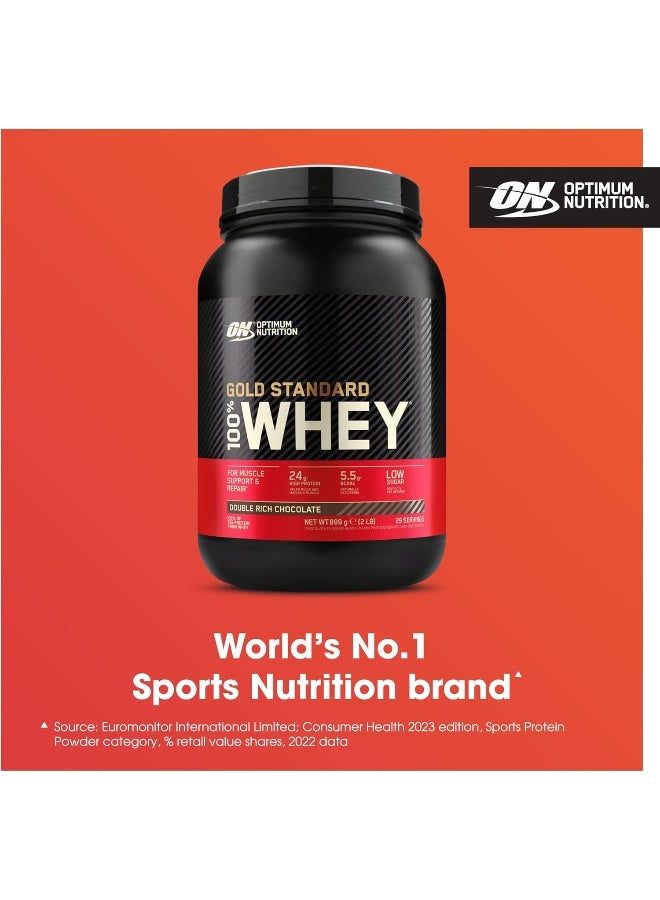 Optimum Nutrition (ON) Gold Standard 100% Whey Protein Powder Primary Source Isolate, 24 Grams of Protein for Muscle Support and Recovery - Double Rich Chocolate, 2 Lbs, 29 Servings (907 Grams) - Image 2